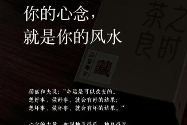 命由心生,喜在选择:解码你的命运与喜好相互关系 命由心生,喜在选择:解码你的命运与喜好相互关系