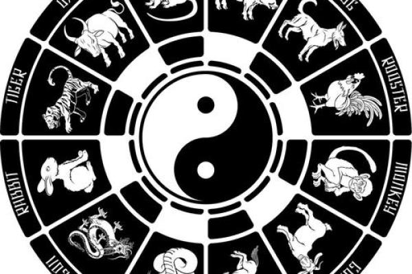 壬辰日出生者的生肖命理揭秘与生活指导