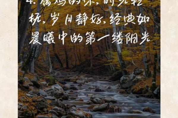 属鸡之人:在风雨中展翅高飞的命运之旅 属鸡之人:在风雨中展翅高飞的命运之旅