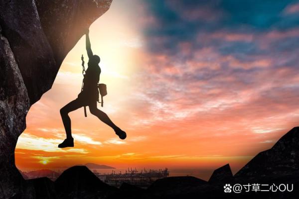 灵魂深处的喧嚣：心灵的归宿与命运的旅程