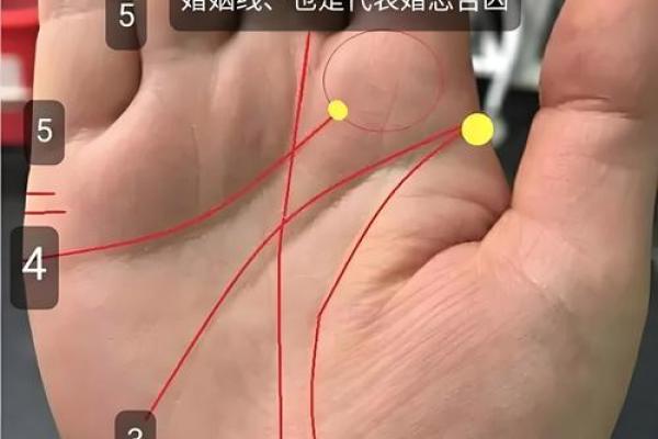 手指上的线条与命运:解读掌纹中的人生密码 手指上的线条与命运:解读掌纹中的人生密码