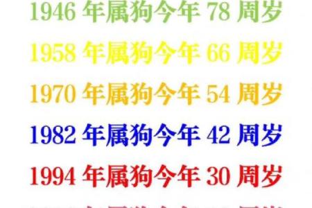 属狗命理揭秘：狗年出生者的命运与性格分析
