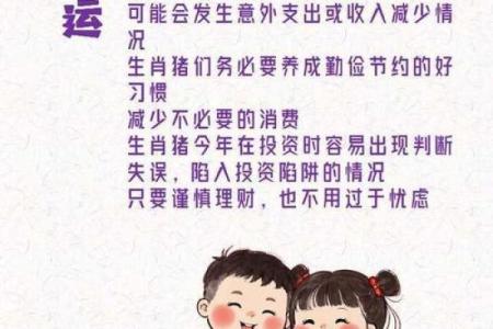 属猪人的命里缺什么：如何弥补与提升运势的智慧之道
