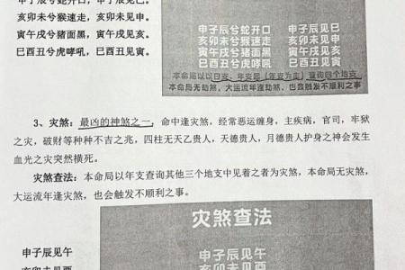 属猪命带双亥，解密命理中的秘密与智慧
