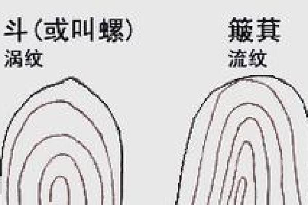 手指上的十个簸箕与命理:揭秘你的命运密码! 手指上的十个簸箕与命理:揭秘你的命运密码!