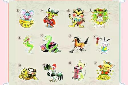 生肖女人的命运密码：揭示她们的独特魅力与生活方向