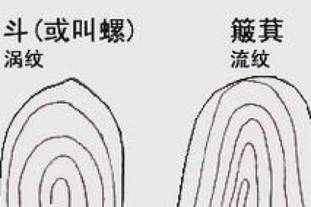 手指上的十个簸箕与命理：揭秘你的命运密码！