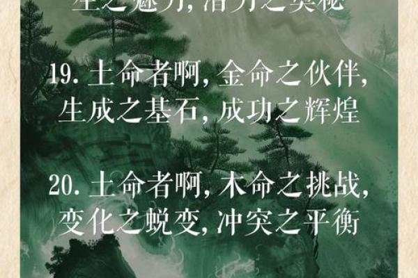 大林木命的特征与缺失：揭秘五行之木的奥秘