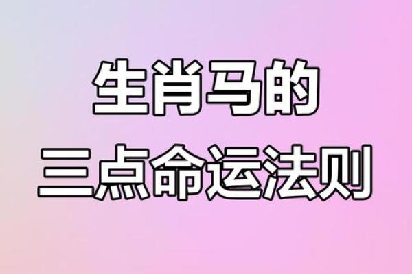 属马狗巡视时辰，揭秘命理奥秘与日常影响