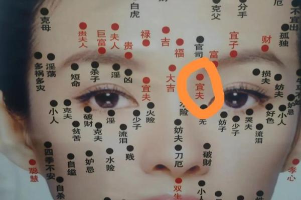 手心有痣的女人:命理解析与运势揭秘! 手心有痣的女人:命理解析与运势揭秘!