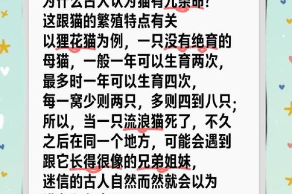 猫和狐狸的传奇：为什么它们都有九条命？