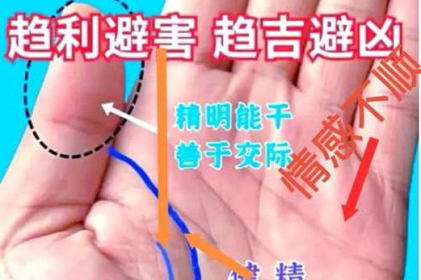 揭秘手相十大凶相,洞悉你的命运与未来 揭秘手相十大凶相,洞悉你的命运与未来
