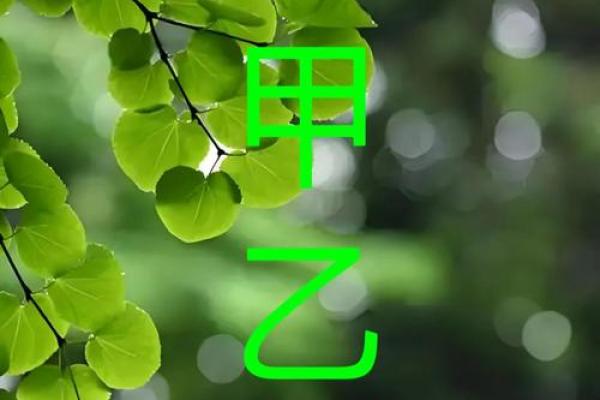 木命缺土，选择何种行业最合适？