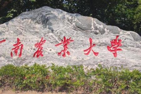 拼了命都要上大学，究竟是什么驱动力？