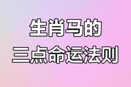 属马狗巡视时辰，揭秘命理奥秘与日常影响