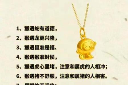 属猴的人最适合的命运与事业探索