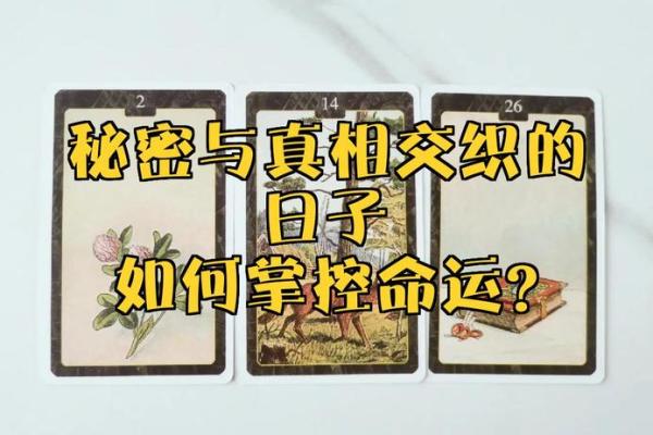 属狗过了40,揭示命运的秘密与人生的智慧 属狗过了40,揭示命运的秘密与人生的智慧