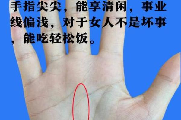 根据手指分命运:手指的神奇与人生的秘密 根据手指分命运:手指的神奇与人生的秘密