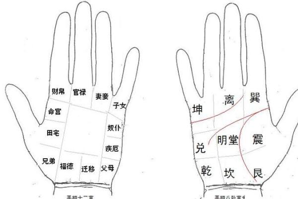 男人手短的命运象征：命理与性格的深层解析