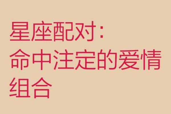 男命与女命的最佳婚配：探寻幸福的星座之路