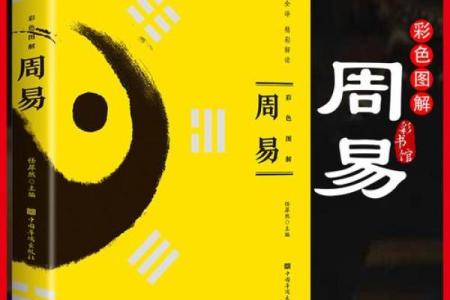 从杨柳木命出发，为女孩起名的艺术与哲学探讨