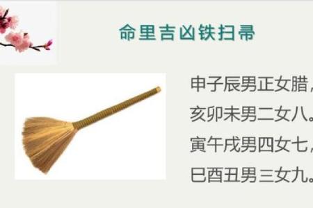 解析申子辰命格：人生选择与发展路径