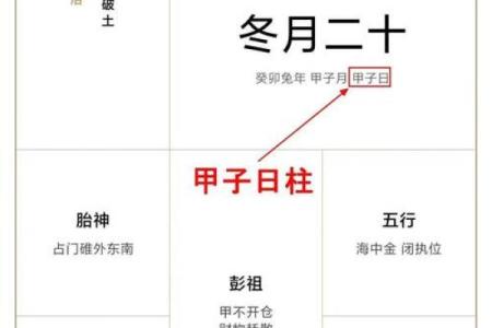 女命壬水合丁火，财星解析与人生启示