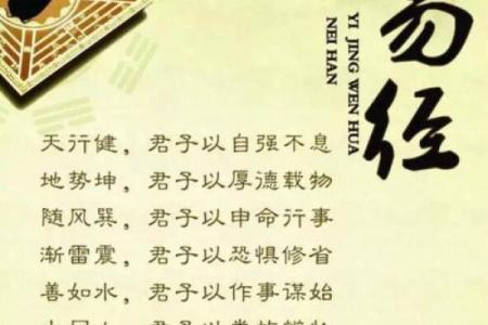 属狗的人最害怕的事：让他们心生畏惧的命理解析