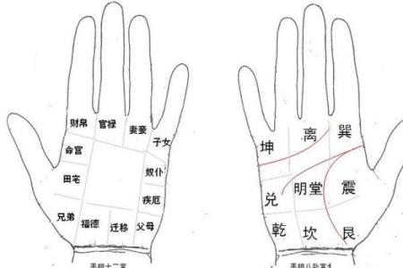 男人手短的命运象征：命理与性格的深层解析