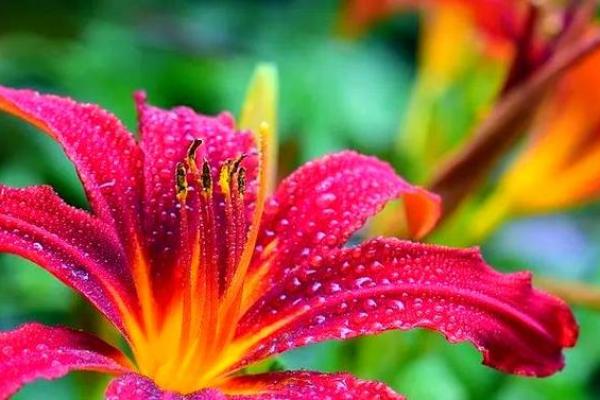 女鼠命的添喜财之道：财富与幸福的智慧之旅