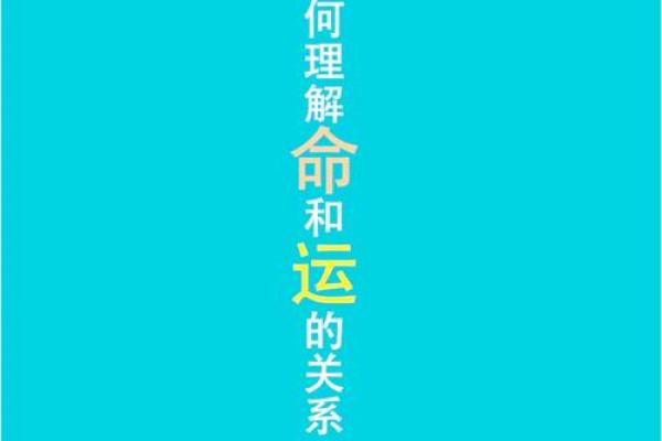 海中金命:探寻命理与生活的深度融合 海中金命:探寻命理与生活的深度融合