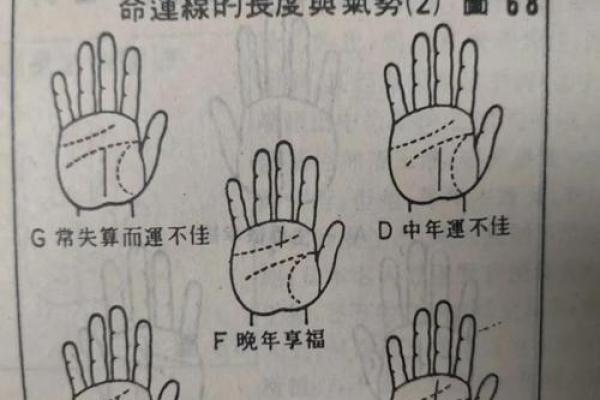 手相解密:掌握你命运的秘密,指尖的启示! 手相解密:掌握你命运的秘密,指尖的启示!