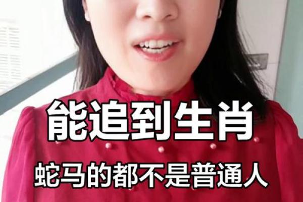 属马、属蛇的命运与人生哲学探讨