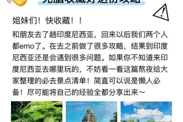 关于去哪哪倒闭的命格解析:一次商业的启示与反思 关于去哪哪倒闭的命格解析:一次商业的启示与反思