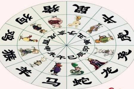 根据命理分析，适合不同生肖的运动选择