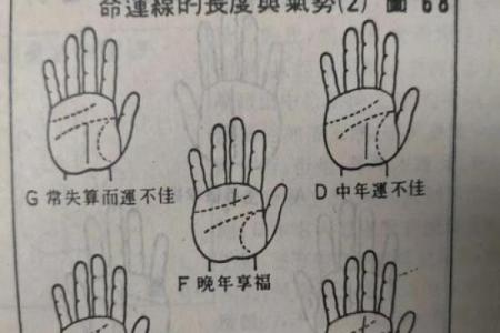 手相解密：掌握你命运的秘密，指尖的启示！