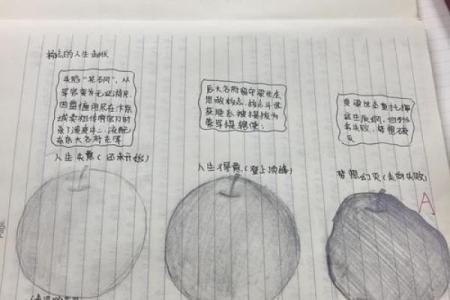 命运之书：一家三口的人生轨迹探秘