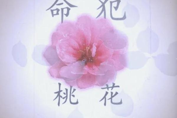 八字老了都有桃花命，这些秘密让你焕发魅力与吸引力！