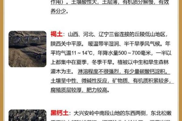如何选择最适合五行土命的土壤类型？探寻土壤对人生命运的影响