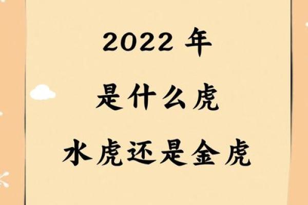 壬寅虎年：五行命格深度解析与人生启示