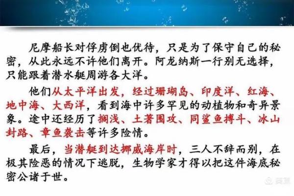 七五年的兔子：命理揭秘与人生智慧
