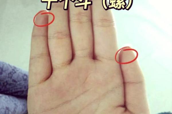 十个斗的女孩,命运何从?揭秘人生的不同轨迹与选择 十个斗的女孩,命运何从?揭秘人生的不同轨迹与选择