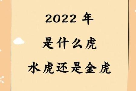 壬寅虎年：五行命格深度解析与人生启示