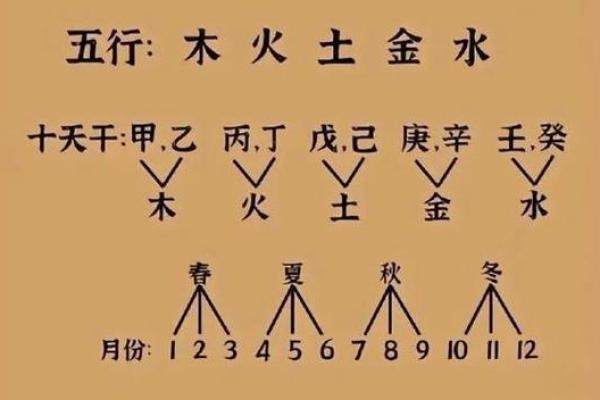 金木相生，探寻命理的神秘与力量