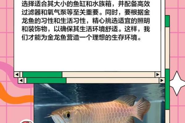 属猴剑锋金命如何选择适合的鱼种养殖 属猴剑锋金命如何选择适合的鱼种养殖