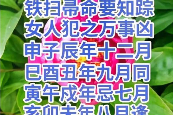 女命寅丑暗合，命运揭开不为人知的秘密！