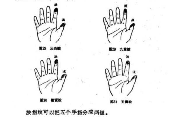 手纹七个簸箕:命运与人生的神秘符号 手纹七个簸箕:命运与人生的神秘符号