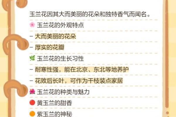 适合属兔水命女性的花卉推荐与养护技巧 适合属兔水命女性的花卉推荐与养护技巧