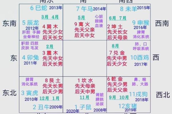 农历十月八十命主分析：探寻命理中的秘密与人生方向