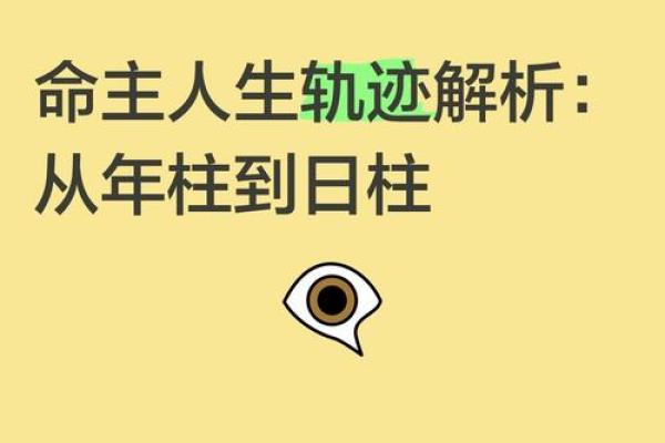 农历十月八十命主分析：探寻命理中的秘密与人生方向